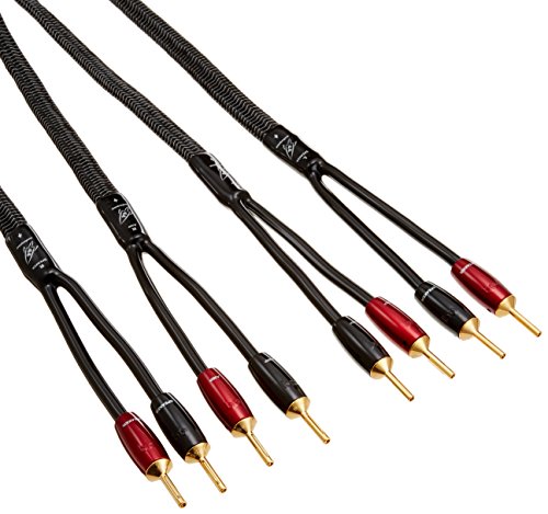 AudioQuest GO-4 スピーカーケーブル　ほぼ未使用です。 AudioQuest GO-4 スピーカーケーブル ほぼ未使用です